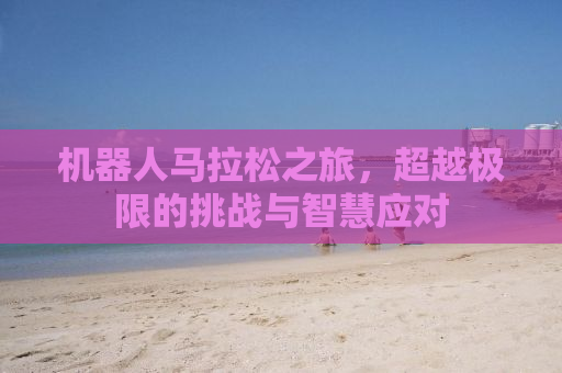 机器人马拉松之旅，超越极限的挑战与智慧应对