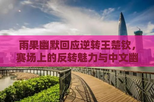 雨果幽默回应逆转王楚钦，赛场上的反转魅力与中文幽默的力量