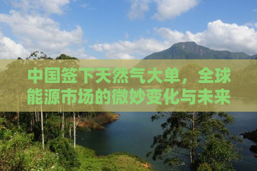 中国签下天然气大单，全球能源市场的微妙变化与未来发展