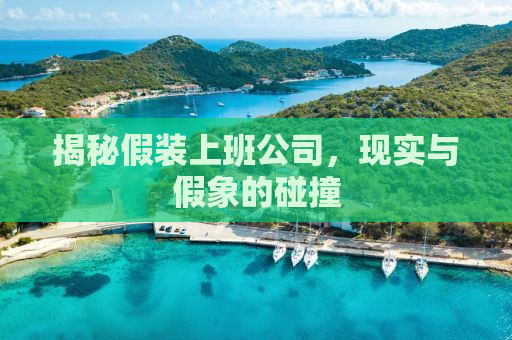 揭秘假装上班公司，现实与假象的碰撞