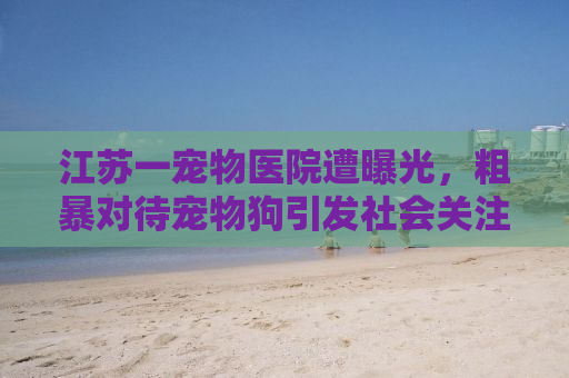 江苏一宠物医院遭曝光，粗暴对待宠物狗引发社会关注