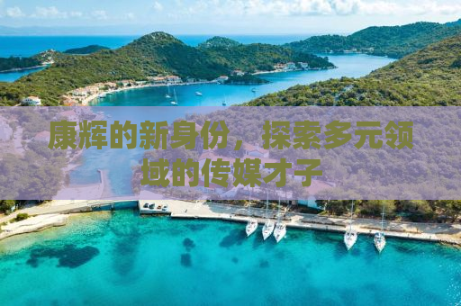 康辉的新身份，探索多元领域的传媒才子