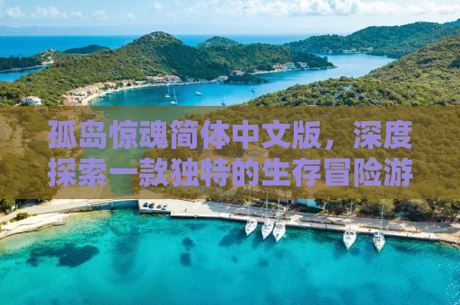 孤岛惊魂简体中文版，深度探索一款独特的生存冒险游戏