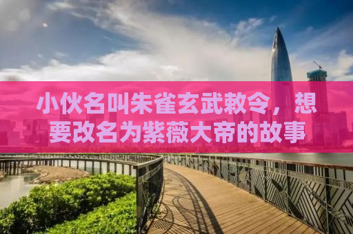 小伙名叫朱雀玄武敕令，想要改名为紫薇大帝的故事