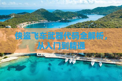 侠盗飞车武器代码全解析，从入门到精通