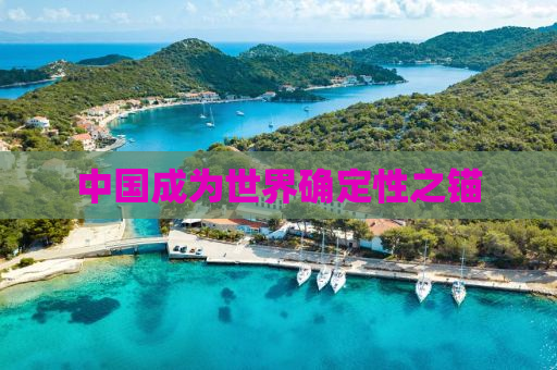 中国成为世界确定性之锚
