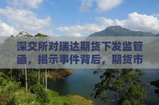 深交所对瑞达期货下发监管函，揭示事件背后，期货市场再敲警钟