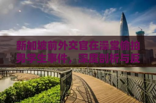 新加坡前外交官在澡堂偷拍男学生事件，深度剖析与反思