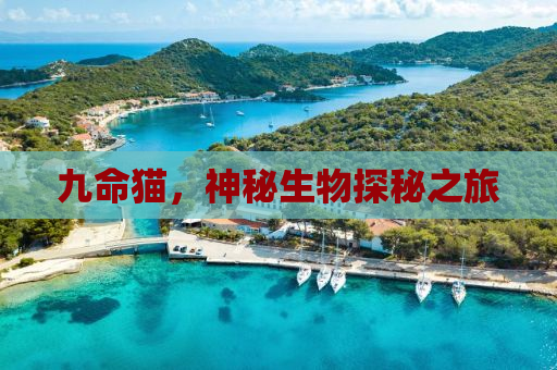 九命猫，神秘生物探秘之旅