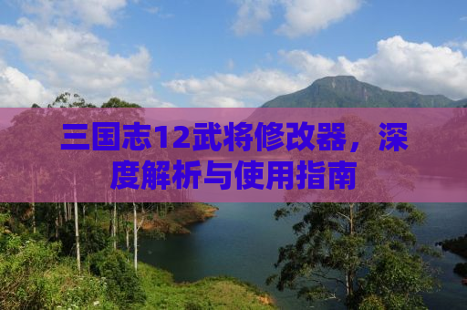三国志12武将修改器，深度解析与使用指南