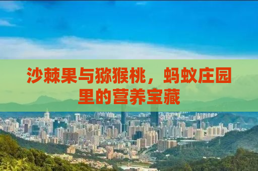 沙棘果与猕猴桃，蚂蚁庄园里的营养宝藏