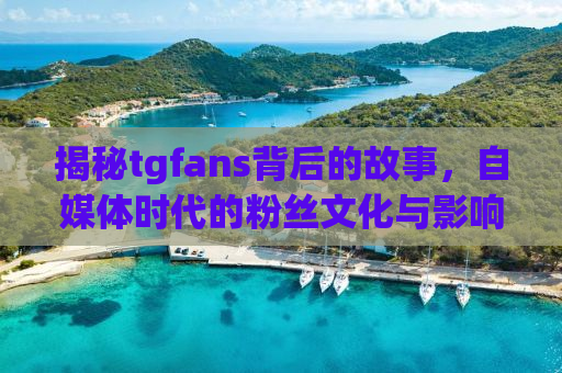 揭秘tgfans背后的故事，自媒体时代的粉丝文化与影响力重塑