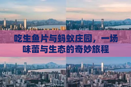 吃生鱼片与蚂蚁庄园，一场味蕾与生态的奇妙旅程
