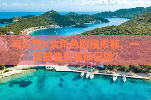 可以强X女角色的模拟器，一场扭曲的虚拟冒险？