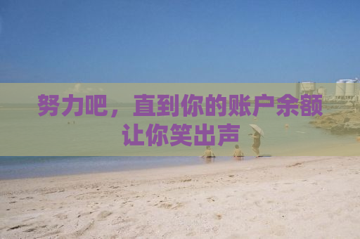 努力吧，直到你的账户余额让你笑出声