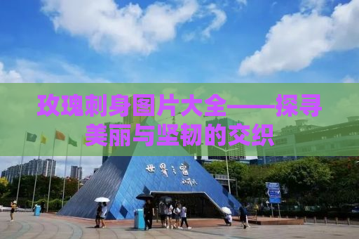 玫瑰刺身图片大全——探寻美丽与坚韧的交织