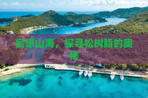 妄想山海，探寻松树脂的奥秘