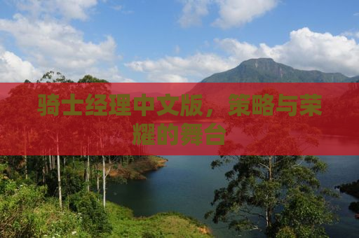 骑士经理中文版，策略与荣耀的舞台