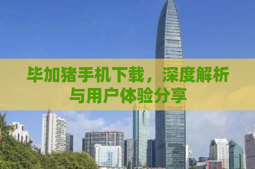 毕加猪手机下载，深度解析与用户体验分享