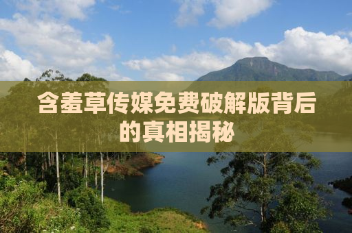 含羞草传媒免费破解版背后的真相揭秘