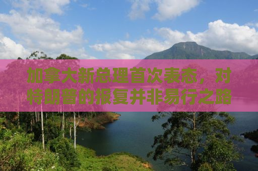 加拿大新总理首次表态，对特朗普的报复并非易行之路