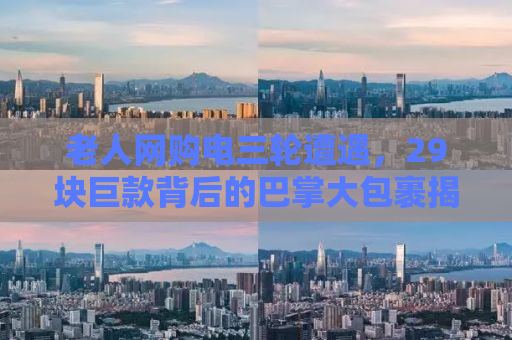 老人网购电三轮遭遇，29块巨款背后的巴掌大包裹揭秘