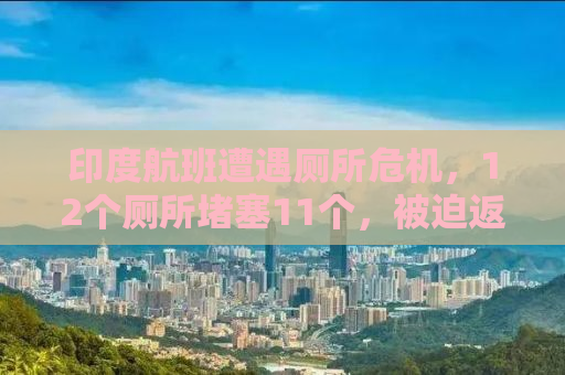 印度航班遭遇厕所危机，12个厕所堵塞11个，被迫返航！