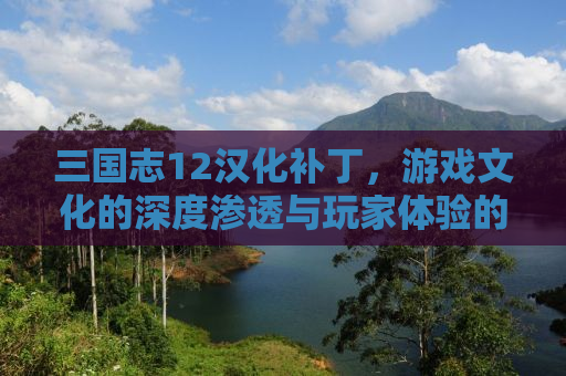 三国志12汉化补丁，游戏文化的深度渗透与玩家体验的提升