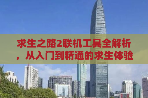 求生之路2联机工具全解析，从入门到精通的求生体验升级指南
