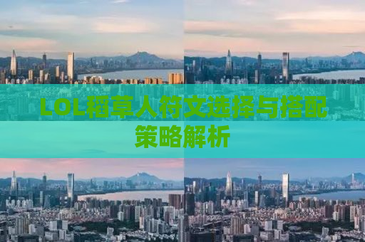 LOL稻草人符文选择与搭配策略解析