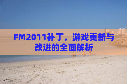 FM2011补丁，游戏更新与改进的全面解析