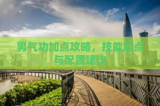 男气功加点攻略，技能加点与配置建议