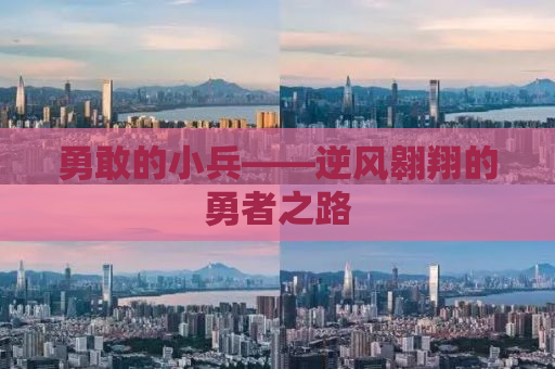 勇敢的小兵——逆风翱翔的勇者之路
