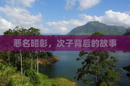 恶名昭彰，次子背后的故事